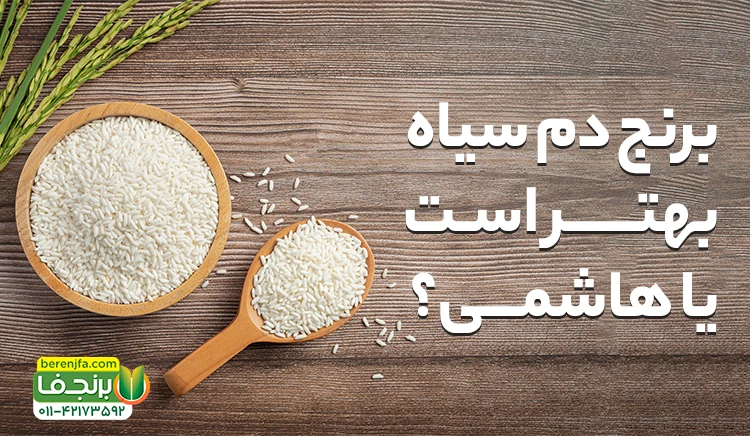 برنج دم سیاه بهتر است یا هاشمی؟ مقایسه و بررسی تخصصی