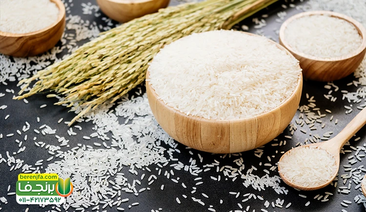 نکات مهم در هنگام خرید برنج دم سیاه و هاشمی
