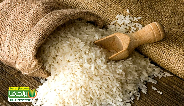 ظروف مناسب برای نگهداری برنج