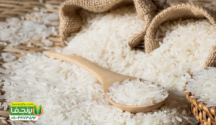چند ماده غذایی جایگزین برنج سفید در پخت غذا