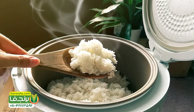 چند نکته مهم در پخت برنج دم سیاه